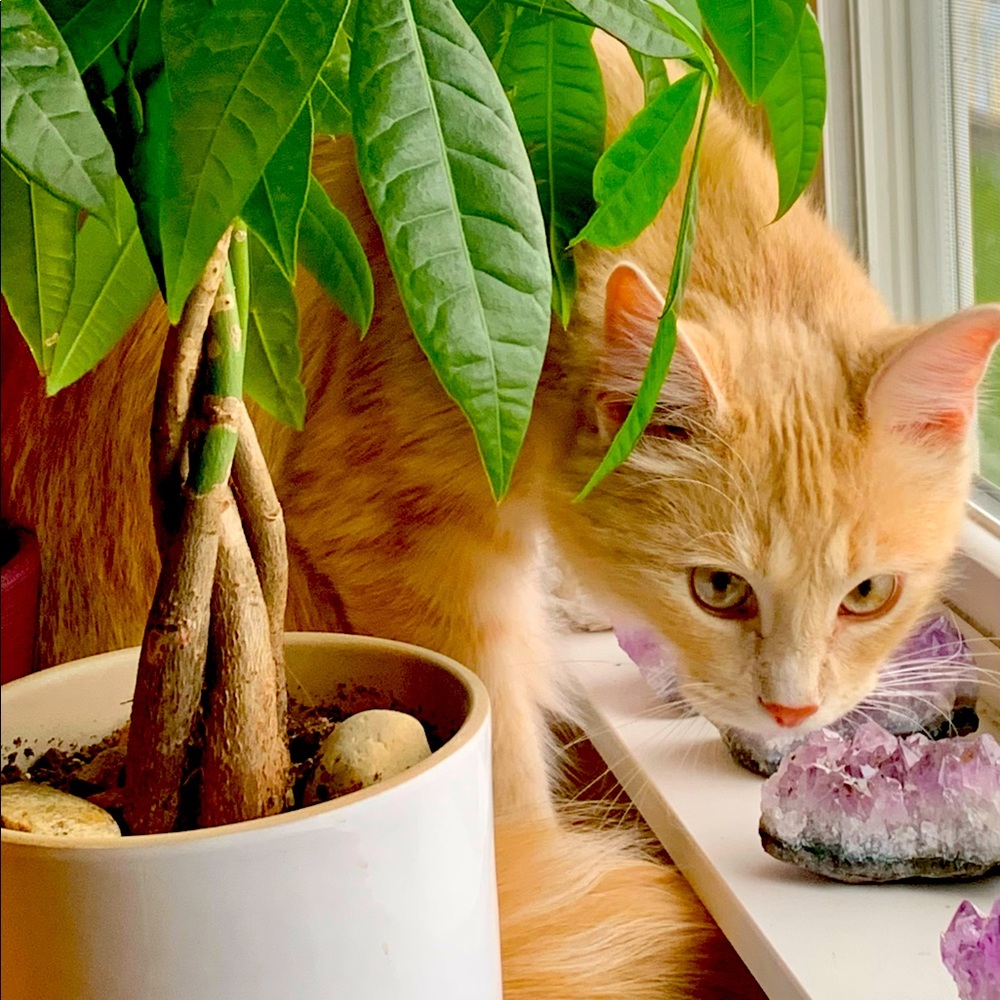 Meet your Posher, Holly